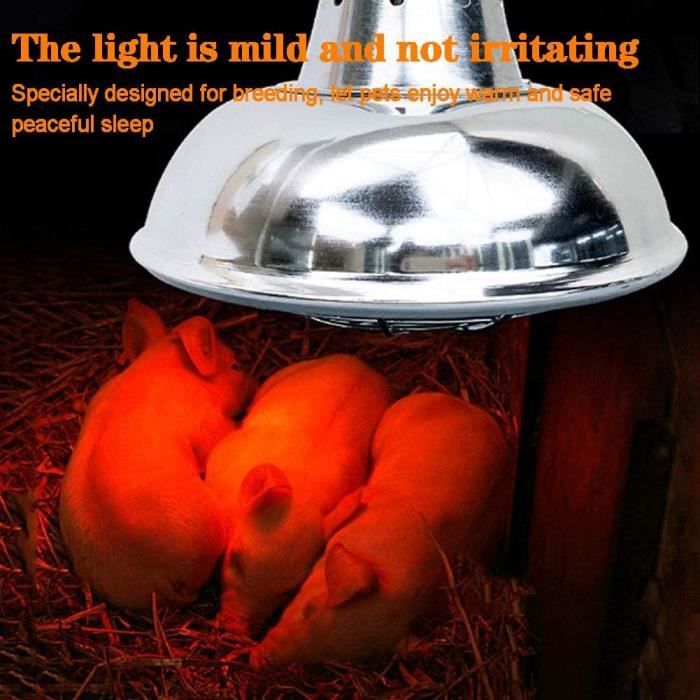 DBMGB Lampe Chauffante Poussin avec Thermostat, Lampe Infrarouge Chauffante  pour Chiots Tortue, Protecteur de Lampe ​Infrarouge 200W-400W, Abat-Jour