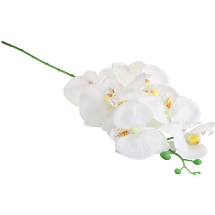 FLEUR STABILISEE - FLEUR ETERNELLE 3 pièces de fleurs d'orchidée  artificielles - Cdiscount Maison