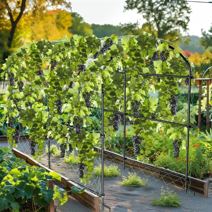 Treillis Plante Grimpante Extérieur en Métal Support pour Plantes — free download