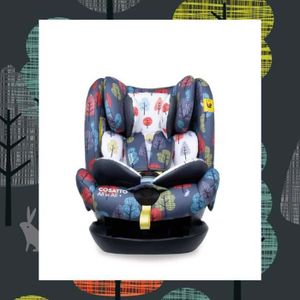 Bebe Confort Siege Auto Multi Age Beryl De La Naissance A 7 Ans Isofix Ou Ceinture Dos Et Face Route Authentic Black Cdiscount Puericulture Eveil Bebe