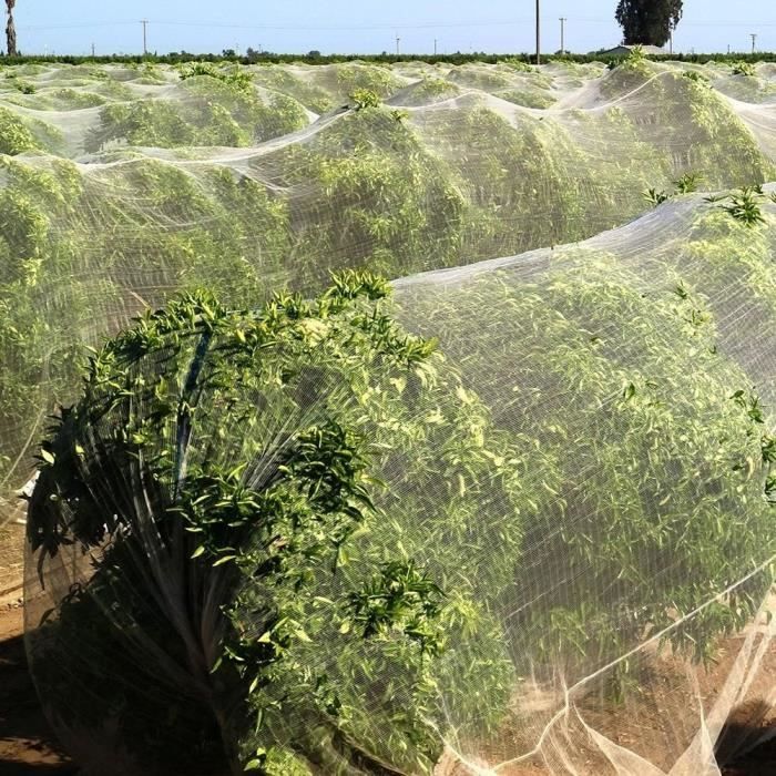 Vert Filet Protéger Arbre Plante Fruits Jardin Maille 4 * 5M Construction