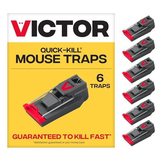 Victor Quick-Kill Mechanical Mouse Trap (2-Pack) | Hammond