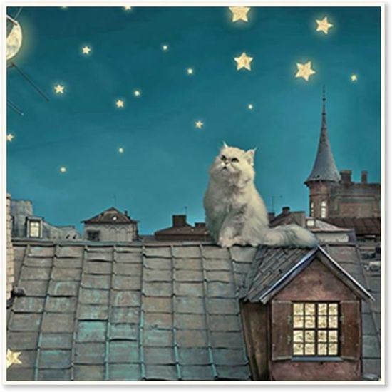 Diamond Painting Animaux Chat,Diy 5D Broderie Diamant,Peinture Diamant Pour Adultes, 50X70Cm