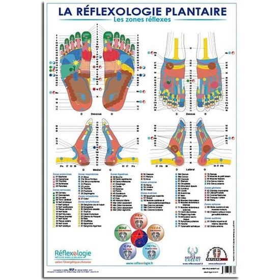 Poster Fran ais Mireille MEUNIER La R flexologie Plantaire Les 