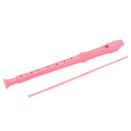 Flûte à Bec Soprano 8 Trous Pour Débutants - Ton Allemand En Do - En ABS Résistant Avec Kit Complet
