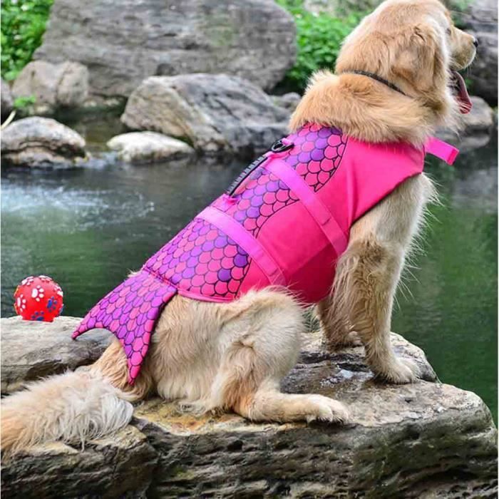 Pet Dog Natation Veste Shark Float Gilet Gilet Costume Flottabilité Aid HTM