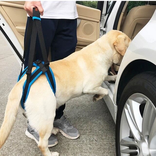 Doglemi outil d'aide pour chiens - Harnais de levage réglable pour chiens à l'arrière, harnais de - Modèle: Black L - HOCWAQDA06973