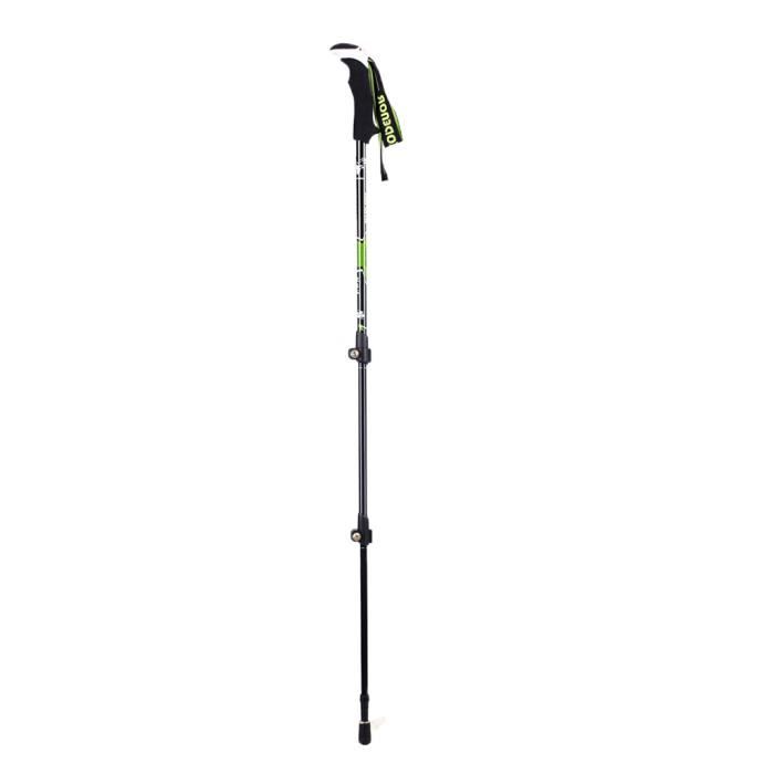 Bâton de Ski de Trekking Télescopique en Fibre de Carbone vert