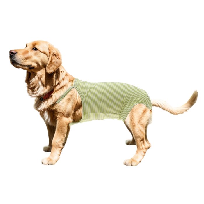 Meilleurs prix pour Couche pour chien X AUTOHAUX Couches Lavables Réutilisables pour Chiens Culottes avec Bretelles pour Chiens M Vert