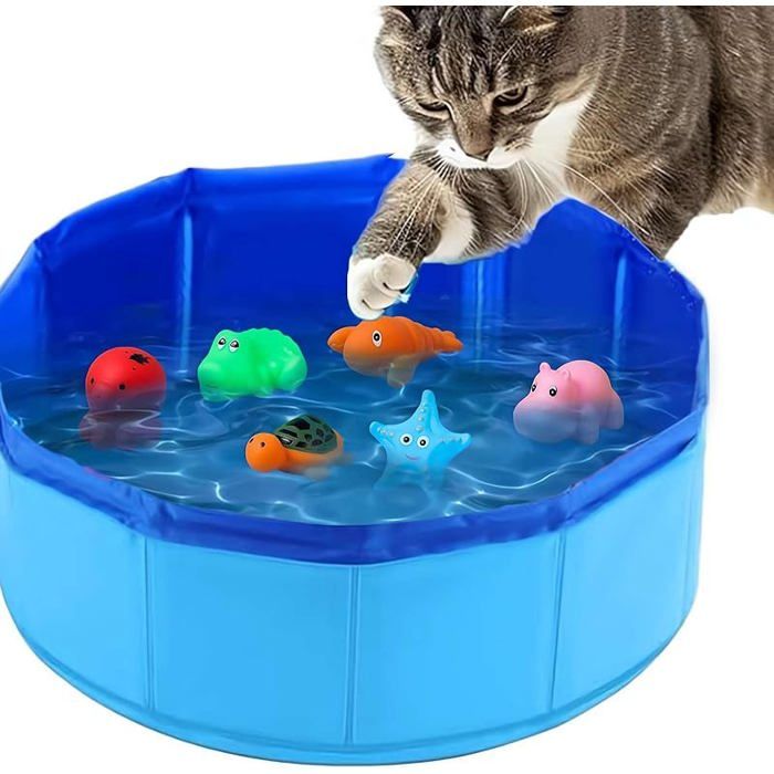 Cat Toy Pool with Plastic Fish KIT EDUCATION ACTIVITE