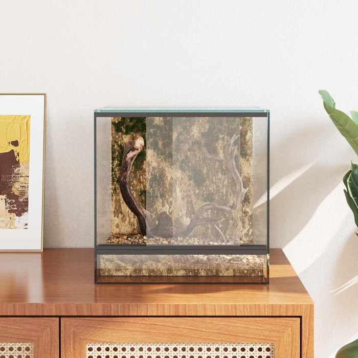 Terrarium en verre transparent - MEUBLECHIC - 30x30x30 cm - Vue panoramique à 360° - Résistant aux rayures