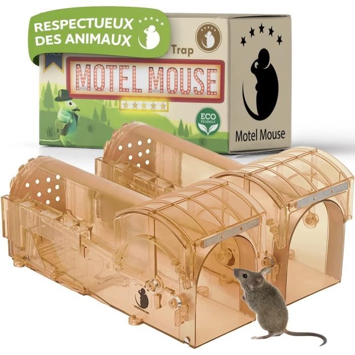 LIWIPiege a Souris Vivante Tapette a Souris Tappeteà Souris Attrape Souris Loir Mulot