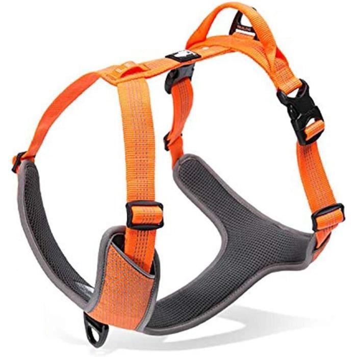 Harnais de Chien Harnais Petit Chien 3M Réfléchissant Harnais pour Animaux,Convient aux Chiens