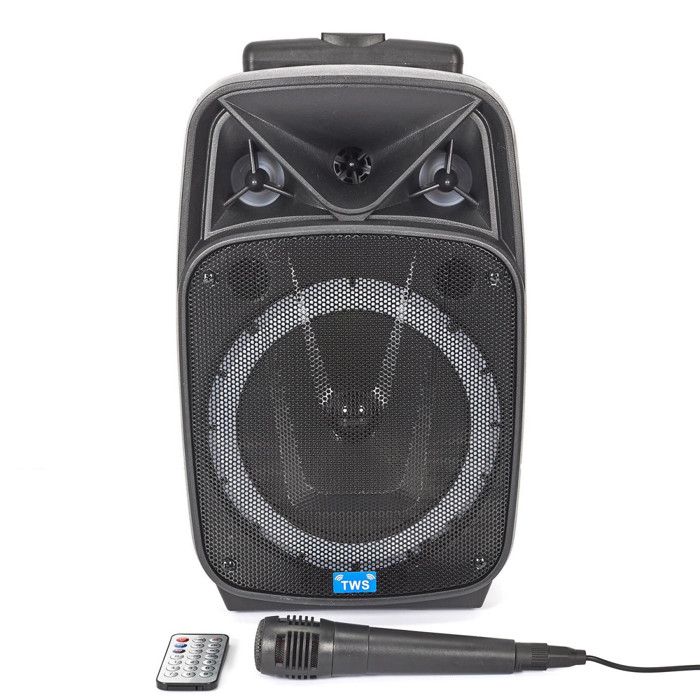 PARIS PRIX Enceinte sans Fil & 2 Micros Karaok&eacute; 39cm Noir