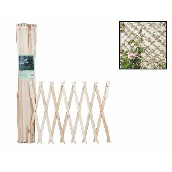 Treillis en bois pour plantes grimpantes - Trade Shop Traesio - 100X200Cm - Blanc