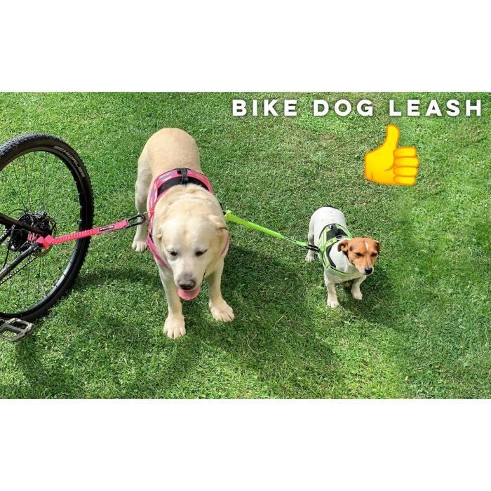Support De Laisse Pour Chien Sur Vélo - Fixation En Acier Robuste - Compatible Avec La Plupart Des Vélos - Pour Balades Sécurisées Avec Votre Animal