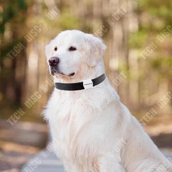 Localisateur Pour Chien/Chat - Collier Tracker Anti-Perte - Alarme Bidirectionnelle - Application Smartphone - Léger 7g