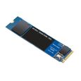 WD Blue™ - Disque SSD Interne - SN550 - 250Go - M.2 NVMe (WDS250G2B0C)-2