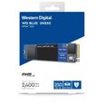 WD Blue™ - Disque SSD Interne - SN550 - 250Go - M.2 NVMe (WDS250G2B0C)-3