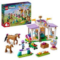 LEGO® Friends 41746 Le Dressage Équestre, Jouet de Chevaux et Poney, Cadeau Enfants 4 Ans