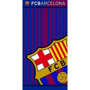 FC Barcelona set écriture 1 stylo a bille + 4 crayons Idée Cadeau Champions  Club Football FC Barca Barcelone