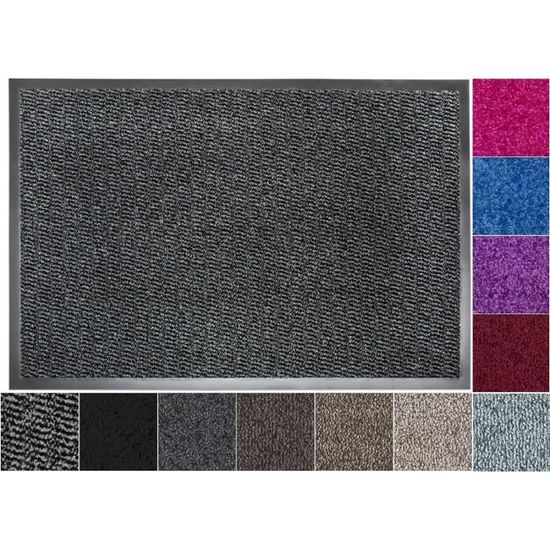 Paillasson De Bienvenue Drôle Dauphin - 60x40 Cm - Antidérapant, Lavable - Pour Porte D'entrée, Garage