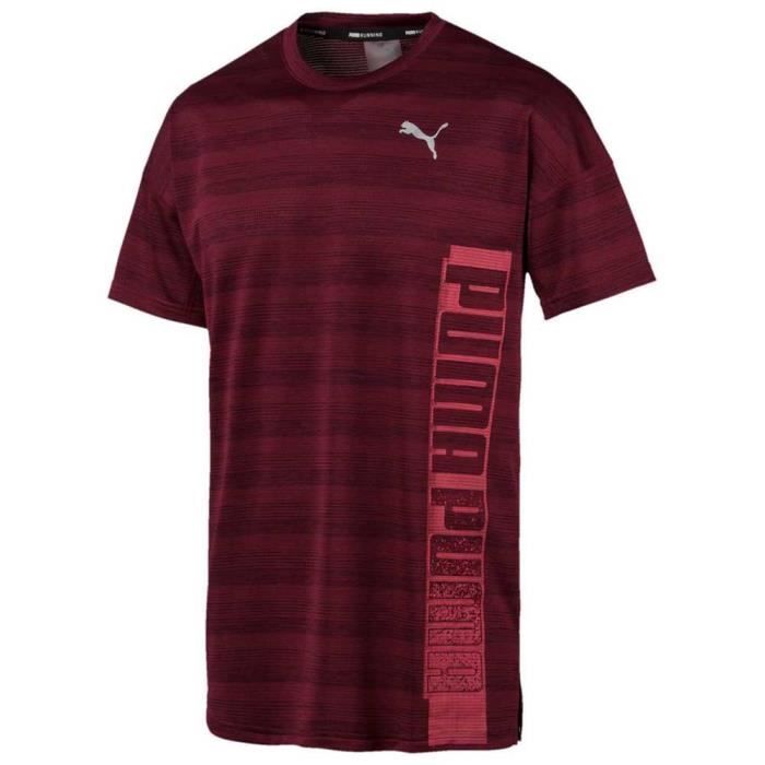 Vêtements Homme T-Shirts Puma Last Lap