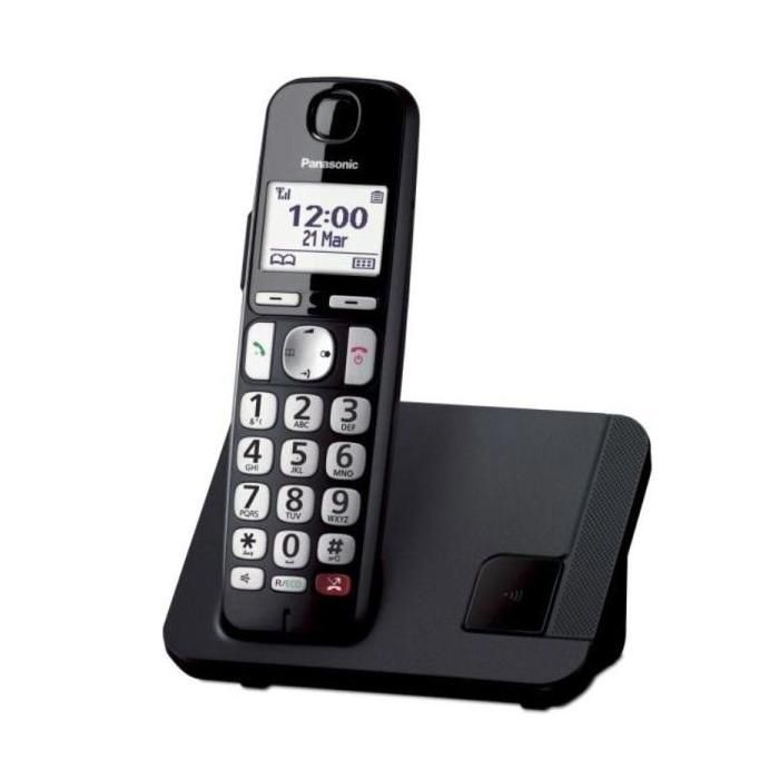 Téléphone sans fil - PANASONIC - KX-TGE250SPB - Noir - DECT - 16h autonomie