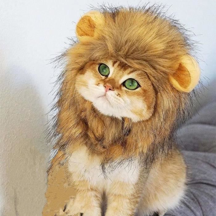 Perruque Pour Chien Chat Pet Costume Lion Mane Chaton Chiot Costume Perruque D Animal Domestique H37zn Cdiscount