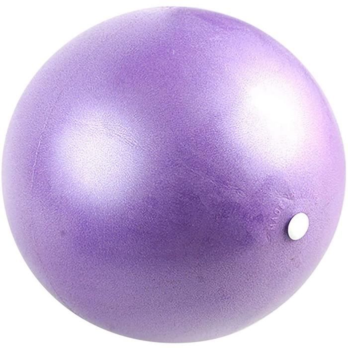 BALLON SUISSE GYM BALL SWISS BALL hgkl Swiss Ball Fitness Pilates