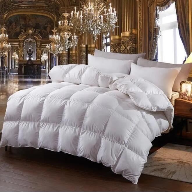 Couette Plumes D'oie DWR 240x260cm - Coton Bio 250GSM - Chaud Et Respirant 4 Saisons