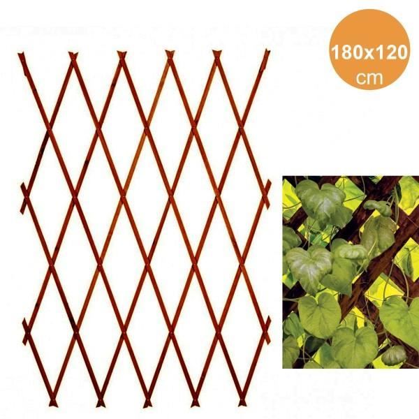 Treillis extensible en bois foncé pour plantes murales - TRADE SHOP TRAESIO - 180x120cm - Blanc