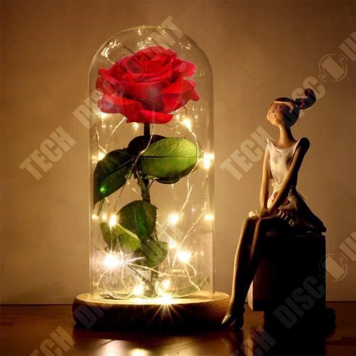 Dôme féerique avec guirlande lumineuse en LED, rose éternelle de galaxie  enchantée, feuille d'or 24K, fleur, pour noël, cadeau de Saint-valentin -  Kevajo