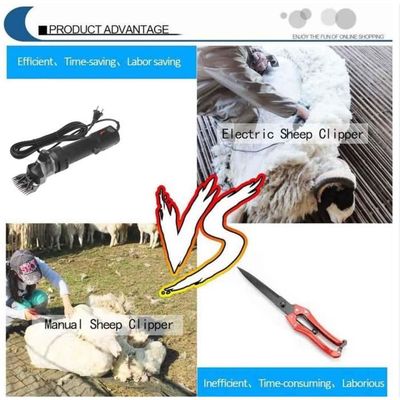 Sinbide Tondeuse Mouton 690W Professionnelle Électrique - Pour Moutons, Chèvres Et Animaux