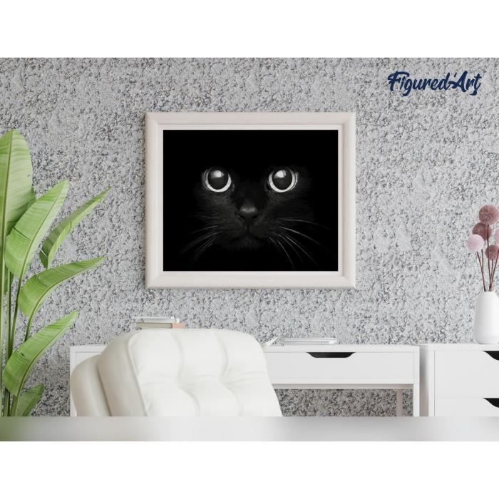 Peinture par numéros - Chat Noir et Ciel Etoilé