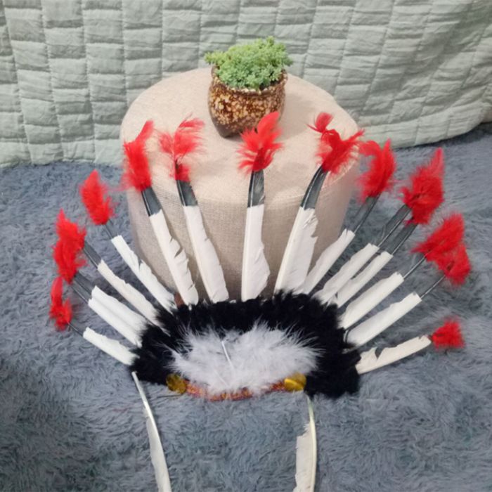Coiffe De Plumes Indienne - Unisexe - Pour Cosplay, Fête, Halloween - Tour De Tête 55-60cm