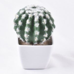 FLEUR ARTIFICIELLE 1 (pas de casserole) - Cactus artificiel en plastique, Succulente plante en Pot, Sans Pot, Simulation écologi