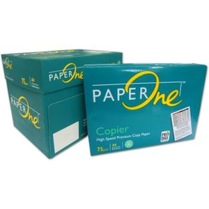 PAPIER IMPRIMANTE PaperONE - Papier pour impression 2500 feuilles DI