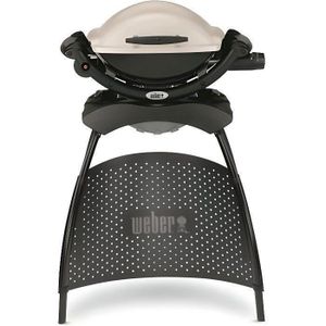 BARBECUE WEBER Barbecue gaz Q 1000 Stand Gas Grill
