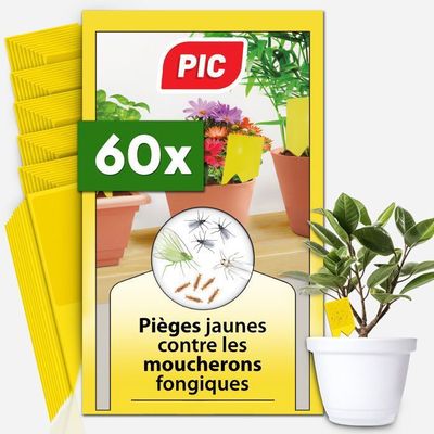 Décamp - Liquide attractif contre la mouche asiatique