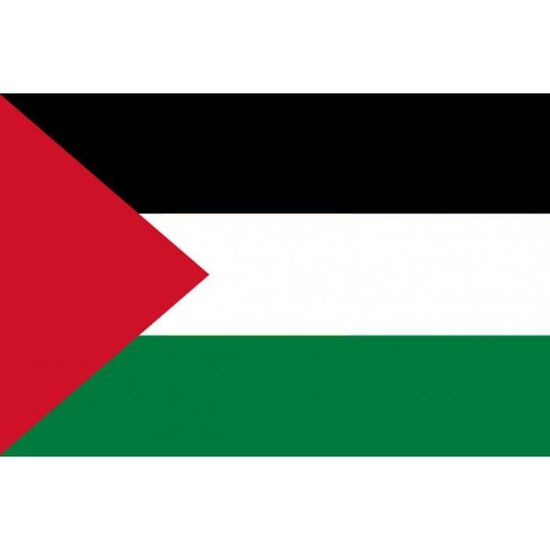 Stickers / autocollants drapeau Palestine - Cdiscount Au quotidien