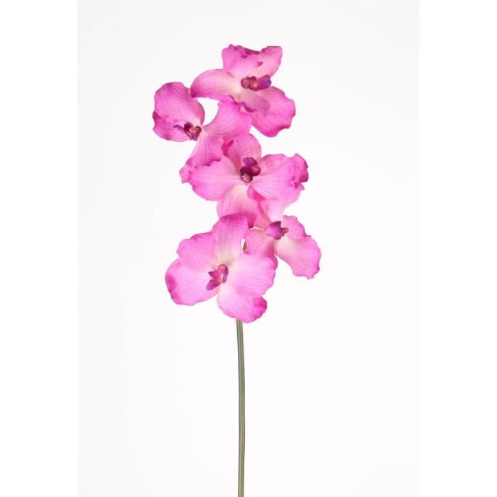 Magnifique fleur d'orchidée vanda artificielle de couleur rose - Cdiscount  Maison