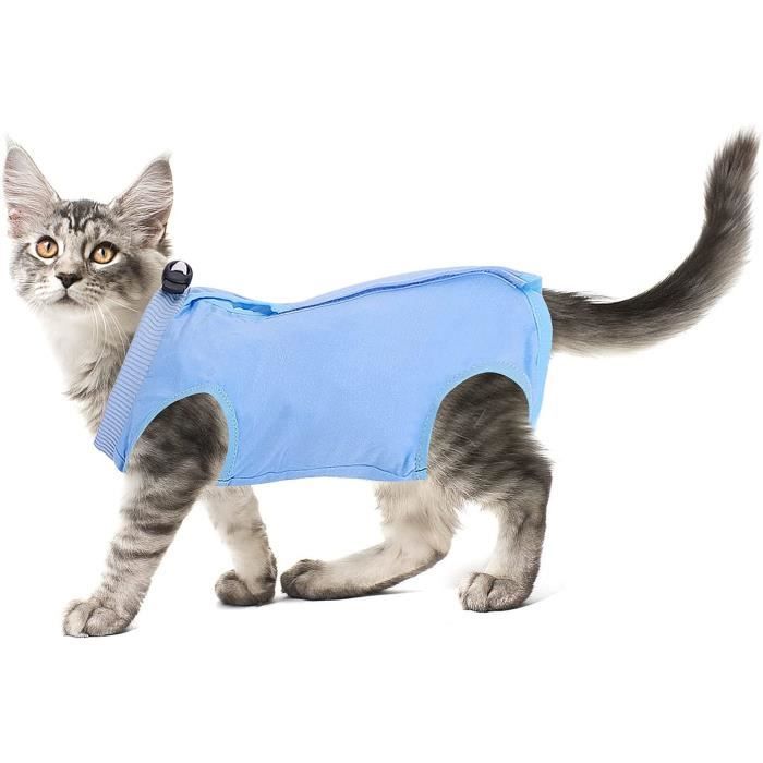Cobee Combinaison de convalescence pour chat Plaies abdominales ou