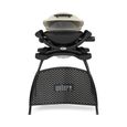 WEBER Barbecue gaz Q 1000 Stand Gas Grill-2