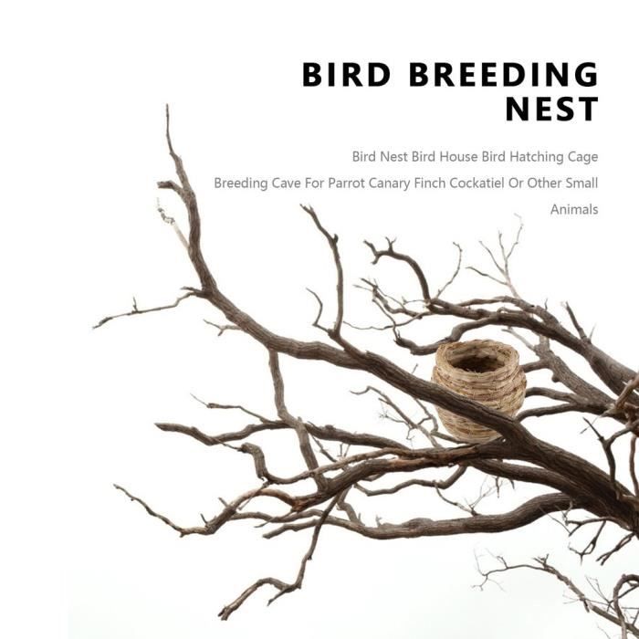 Nid d'élevage d'oiseaux, 1 ensemble de nid d'éclosion en cage avec tapis  5,12 pouces de largeur nidification, lit de nid - Cdiscount Animalerie