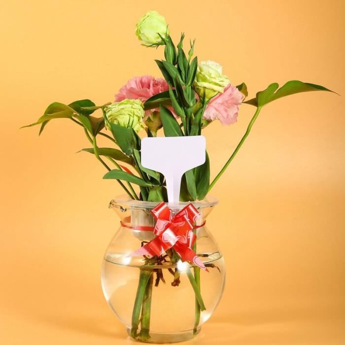 200 PcsEtiquette Potager Exterieur, 6x10 Cm Etiquettes Plantes