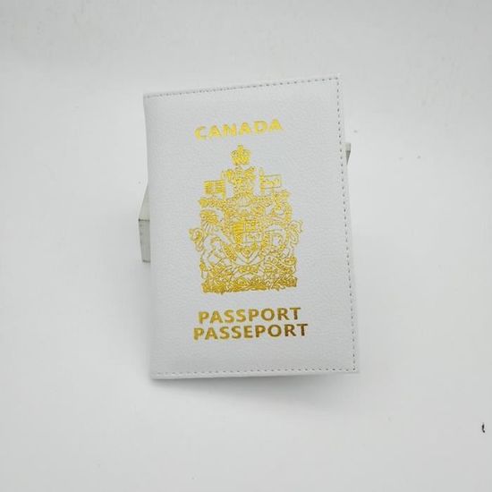 Protecteurs Passeport Transparents - Lot De 10 En PVC Souple - Imperméables, Anti-poussière - Pour Passeport, Cartes, Documents