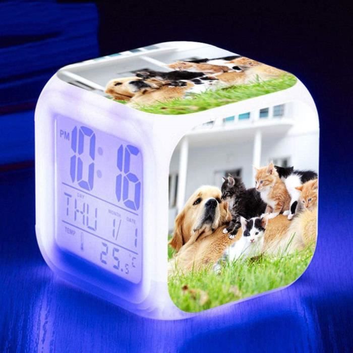 Réveil cheval - Alarme animale - LED - Avec lumière - Brillant dans la