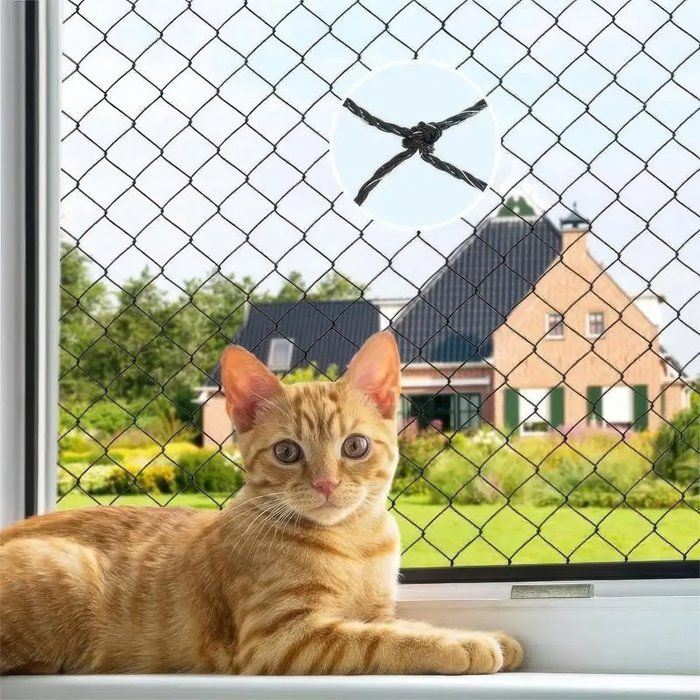 Meilleurs prix pour Filet de protection pour chats - 3 x 8 m - Filet de protection transparent pour chats - Filet de balcon en nylon - pour chats