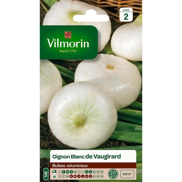 Graines Oignon Blanc Printanier Parisien Vilmorin - Légume Précoce Et Résistant Au Froid - Pour Jardin Potager